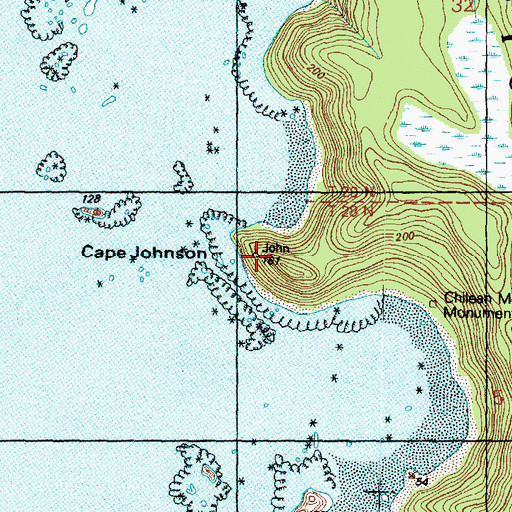 Topographic Map of Cape Johnson, WA