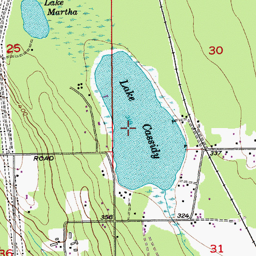 Topographic Map of Lake Cassidy, WA