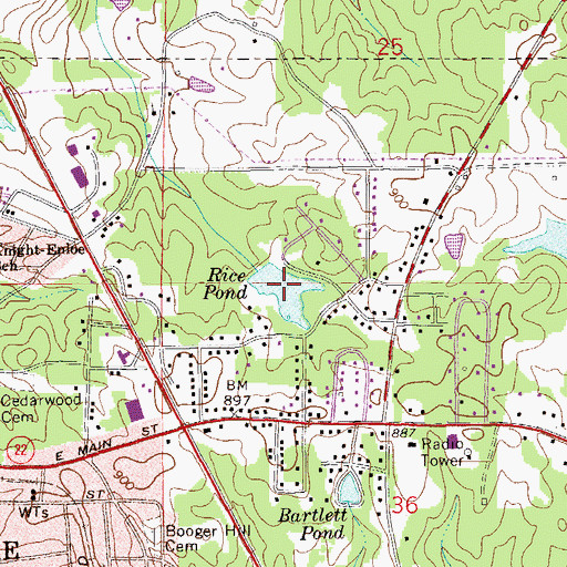 Topographic Map of Rice Pond, AL