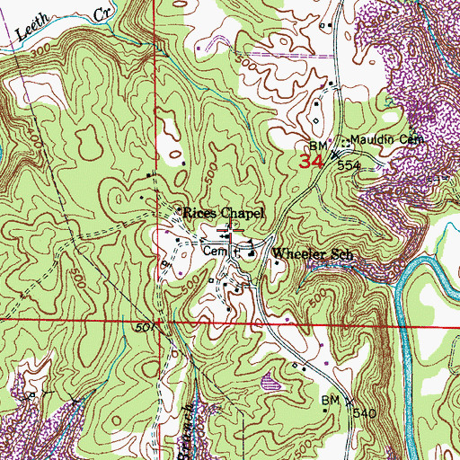 Topographic Map of Rices Chapel, AL