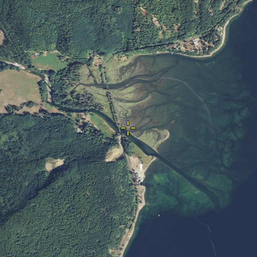 Aerial/Satellite Image of Hamma Hamma River, WA