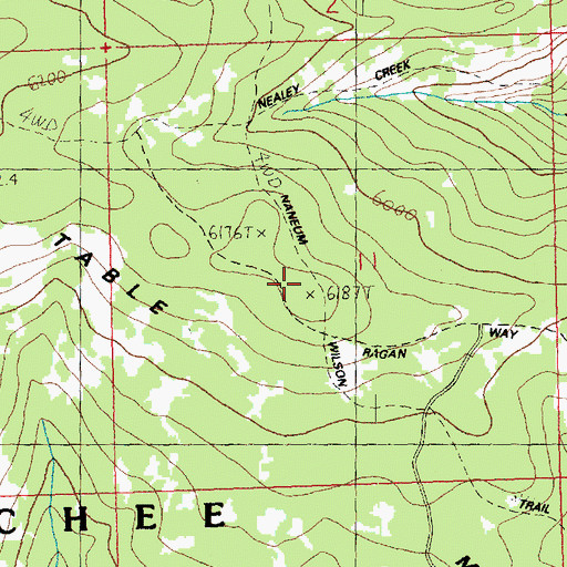Topographic Map of Naneum Wilson Trail, WA
