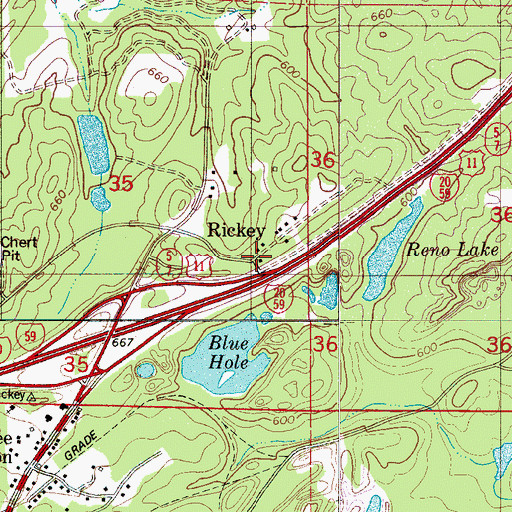 Topographic Map of Rickey, AL