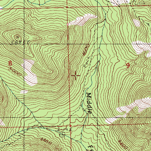 Topographic Map of Skookum Mine, WA