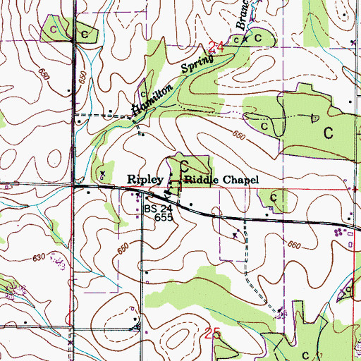 Topographic Map of Riddle Chapel, AL