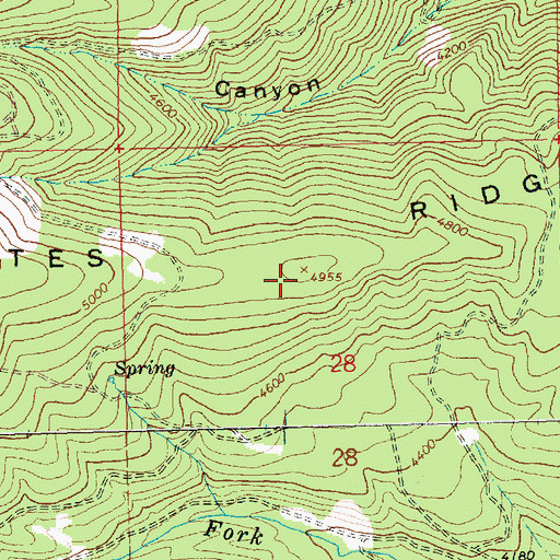 Topographic Map of Whites Ridge, WA