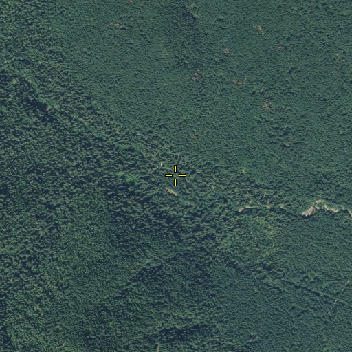 Aerial/Satellite Image of Bubbling Mike Spring, WA