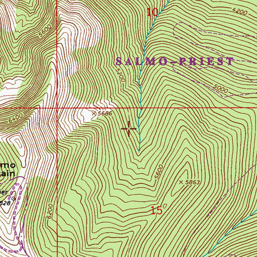 Topographic Map of Salmo Mountain Research Natural Area, WA