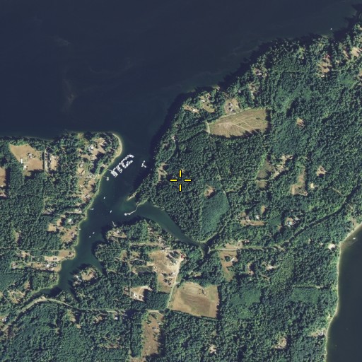 Aerial/Satellite Image of Jarrell Cove State Park, WA