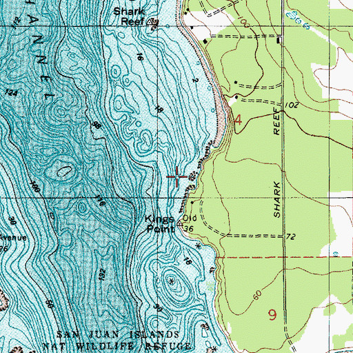 Topographic Map of White Cliffs, WA