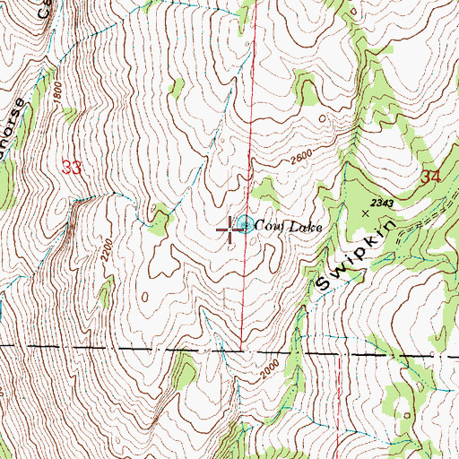 Topographic Map of Cow Lake, WA