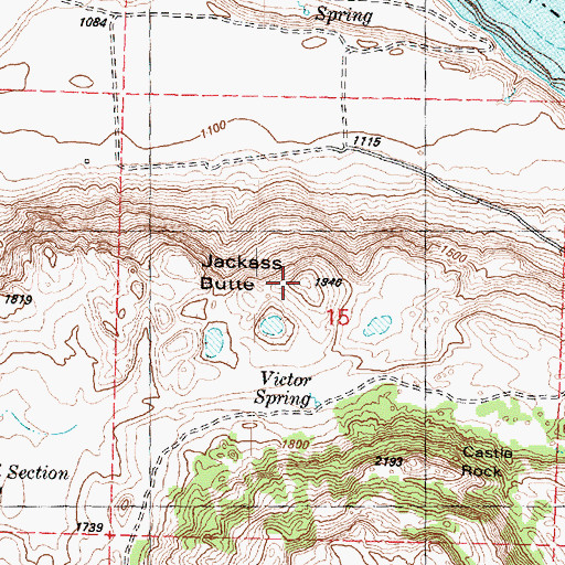 Topographic Map of Jackass Butte, WA