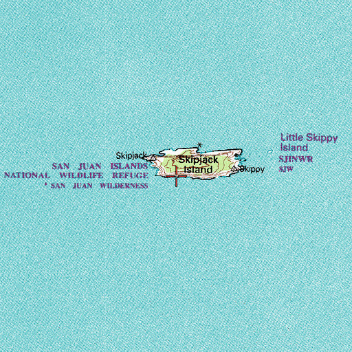 Topographic Map of Skipjack Island, WA