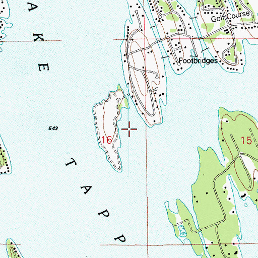 Topographic Map of Lake Tapps, WA