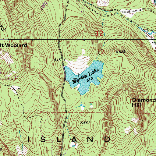 Topographic Map of Martin Lake, WA