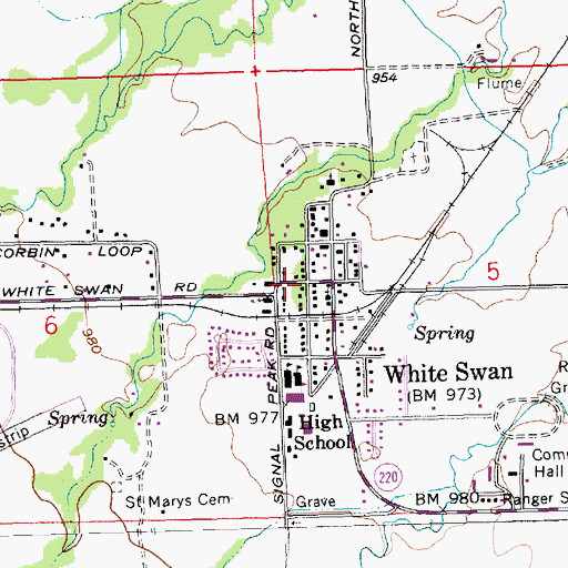 Topographic Map of White Swan, WA