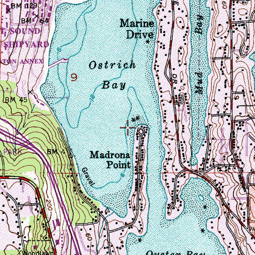 Topographic Map of Madrona Point, WA