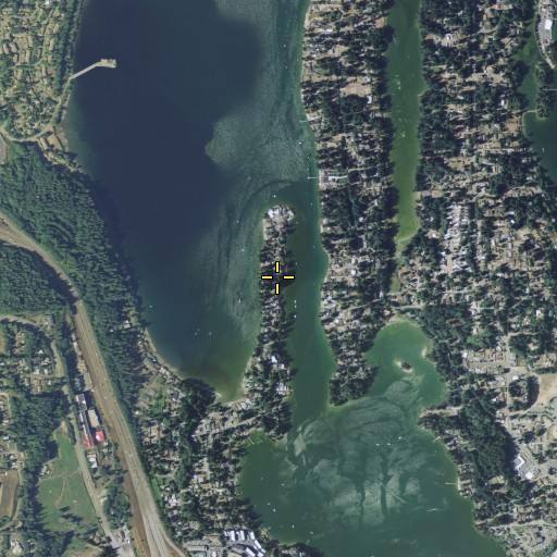 Aerial/Satellite Image of Madrona Point, WA