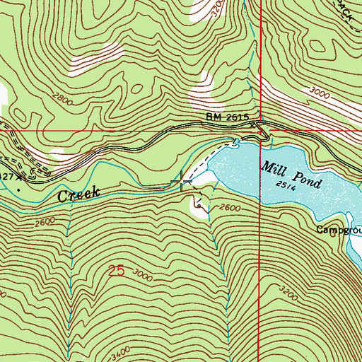 Topographic Map of Mill Pond Dam, WA