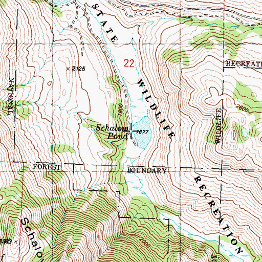 Topographic Map of Schallow Lake Dam, WA