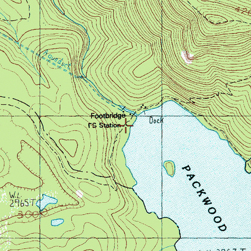Topographic Map of Packwood Dam, WA