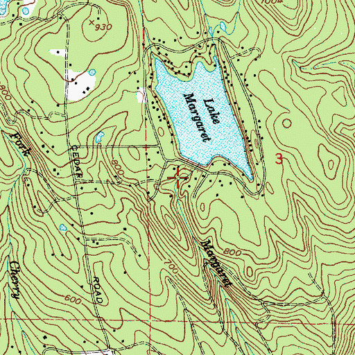 Topographic Map of Lake Margaret Dam, WA