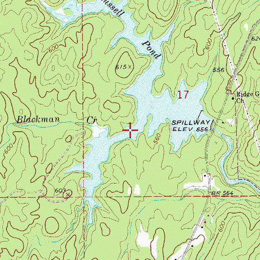 Topographic Map of Russell Pond, AL