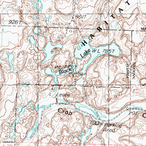 Topographic Map of Black Lake Dam, WA