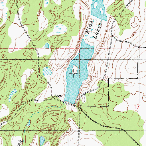 Topographic Map of Lower Pine Lake, WA