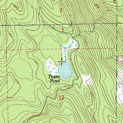 Topographic Map of Texas Pond, WA