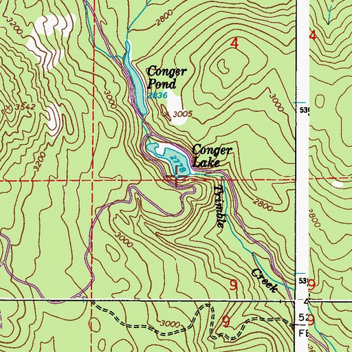 Topographic Map of Conger Lake Dam, WA