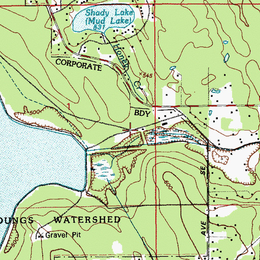 Topographic Map of Youngs Lake Old Inlet Dam (historical), WA