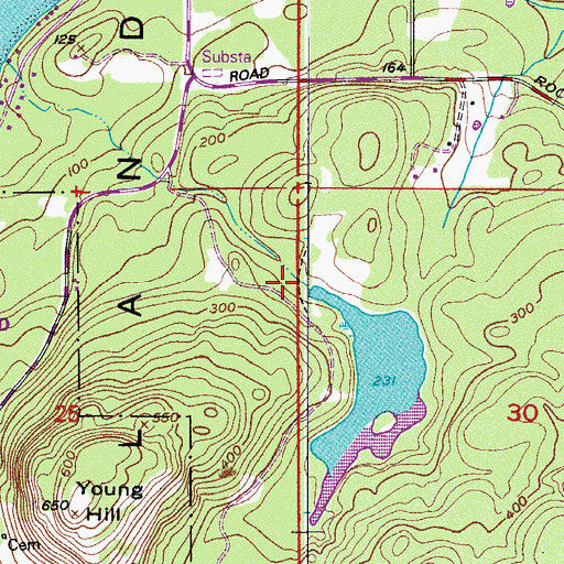 Topographic Map of Roache Habor Lake Dam, WA