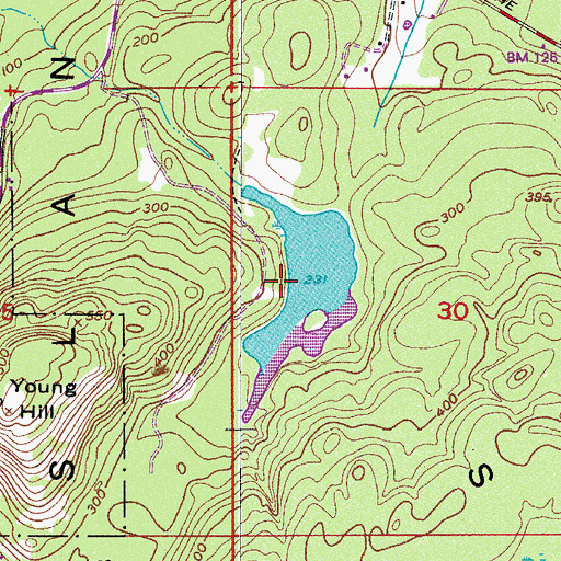 Topographic Map of Roche Harbor Lake, WA