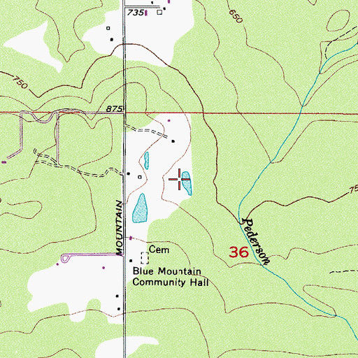Topographic Map of Rf Wellcome Dam, WA