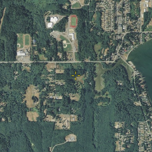 Aerial/Satellite Image of Courtenay Dam, WA