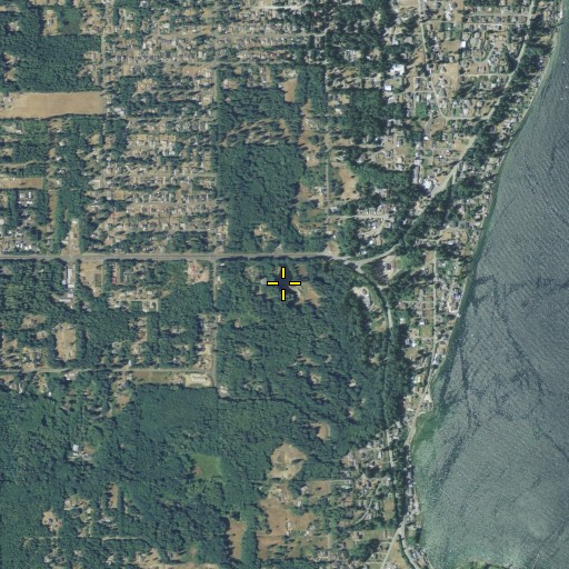 Aerial/Satellite Image of Lake David, WA