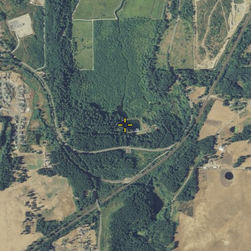 Aerial/Satellite Image of McAllister Spring Lake Dam, WA