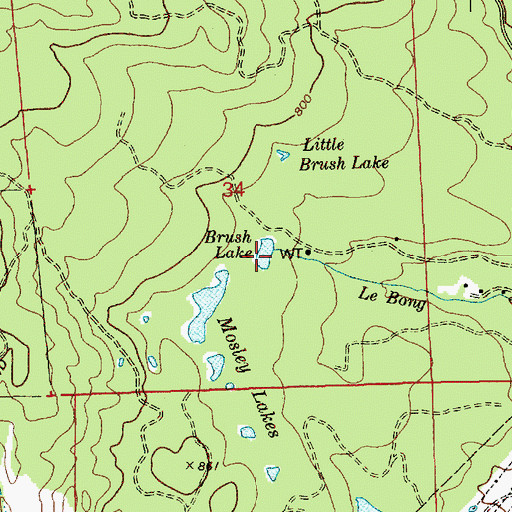 Topographic Map of Little Brush Lake Dam, WA