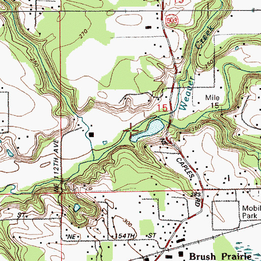 Topographic Map of Salmon Spring Pond Dam, WA