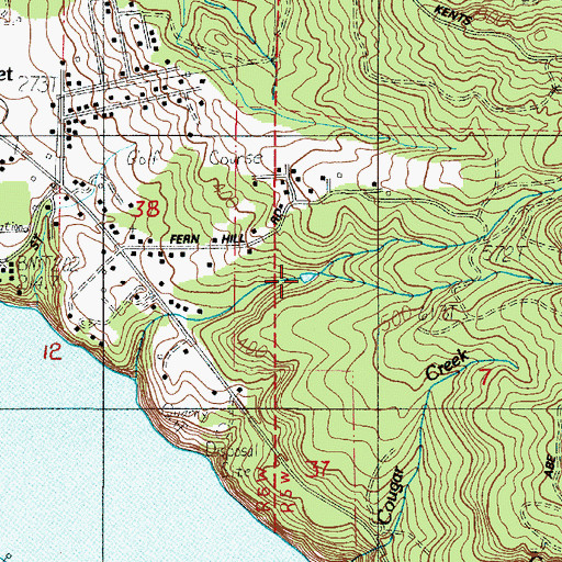 Topographic Map of Cougar Creek Reservoir, WA
