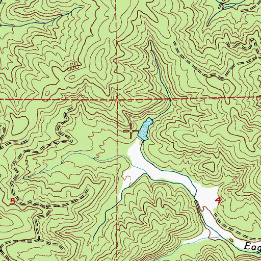 Topographic Map of Eagle Creek Dam, WA