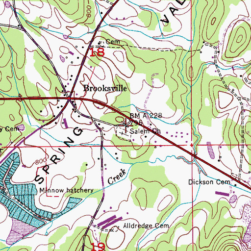 Topographic Map of Salem Primitive Baptist Church, AL