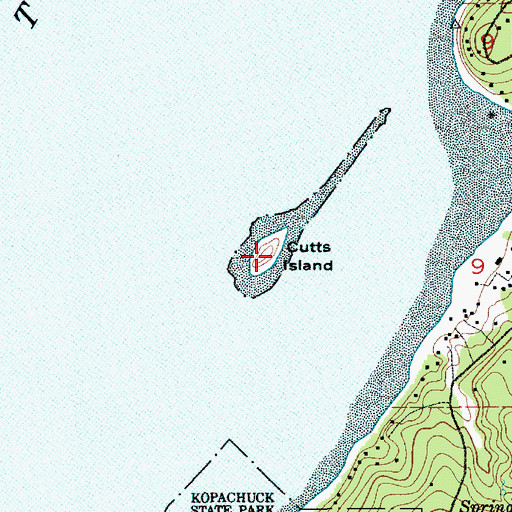 Topographic Map of Cutts Island, WA
