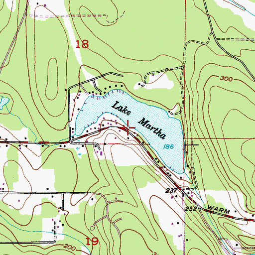 Topographic Map of Lake Martha, WA