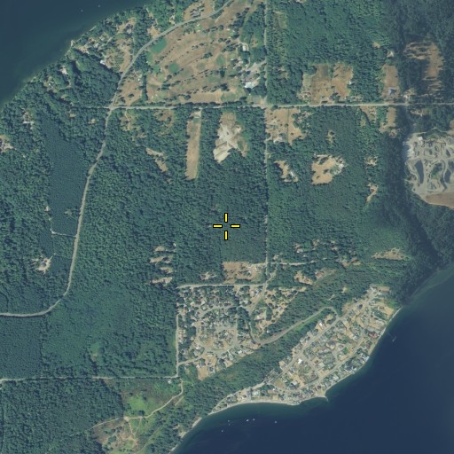 Aerial/Satellite Image of Maury Island, WA