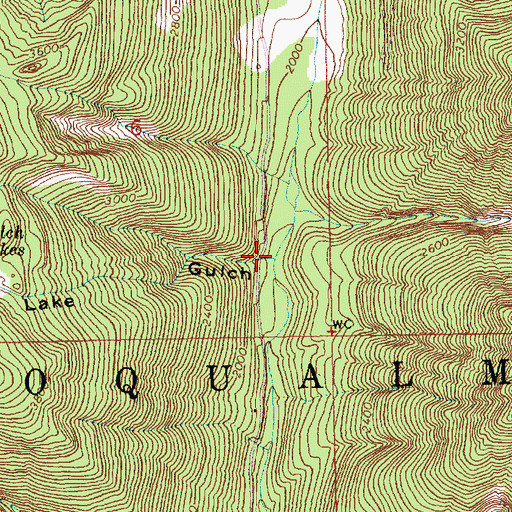 Topographic Map of Lake Gulch, WA