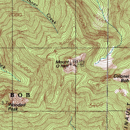Topographic Map of Mount O'Neil, WA