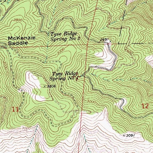 Topographic Map of Tyee Ridge Spring Number 1, WA