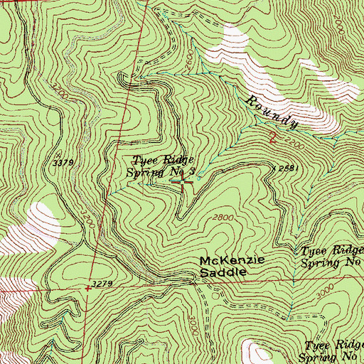 Topographic Map of Tyee Ridge Spring Number 3, WA